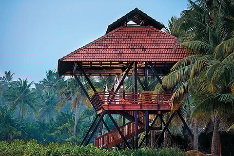 On a special vacation