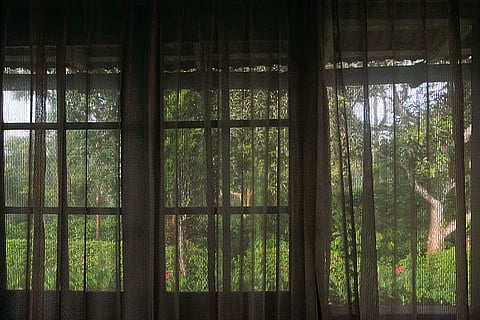 Karnataka Luxurious plantation bungalows as homestays in Coorg