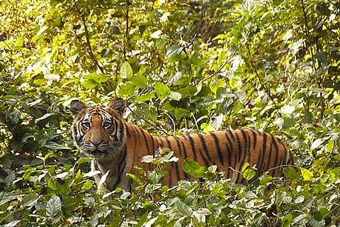 12 easily accessible nature reserves of Uttar Pradesh