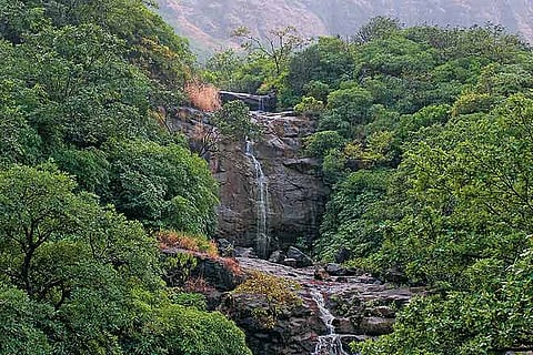 Maharashtra A Quick Guide to Malshej Ghat