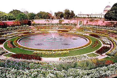 Delhi's floral bonanza