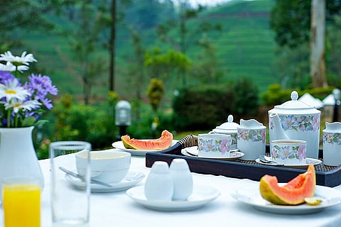 In the heart of Sri Lanka's tea country