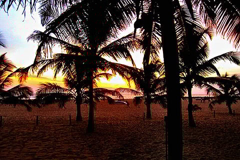 Take a musical journey into Sri Lanka