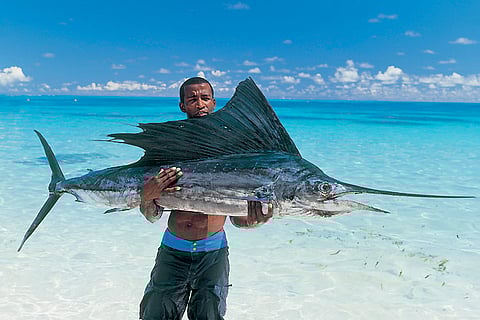 Seashores of the Seychelles