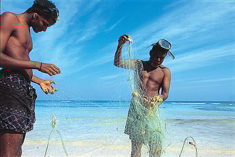 Spectacular Lakshadweep archipelago