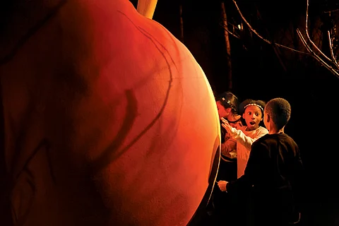 Roald Dahl Turns 100