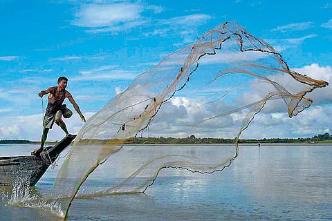 Hot List The Best of Assam