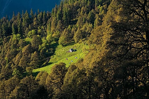 Hot List The Best of Himachal Pradesh