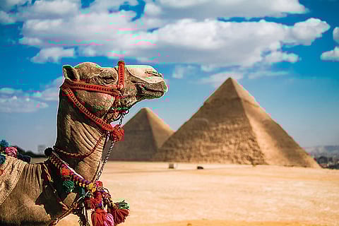 Africa 19 Essential Destinations