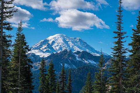 The Kedarkantha peak is located within Govind Wildlife Sanctuary, Purola. Credit www.shutterstock.com / sumankyal