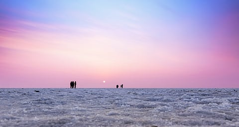 A sunset in pink at the Rann Utsav