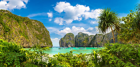 The popular Maya Beach, which was featured in the movie 'The Beach'