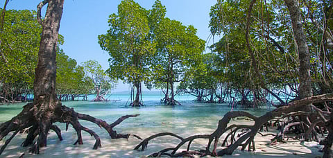 A beach at Havelock Island