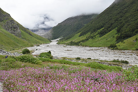 Valley of Flowers