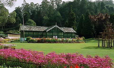 Botanical Gardens, Ooty. Photo credits Shutterstock