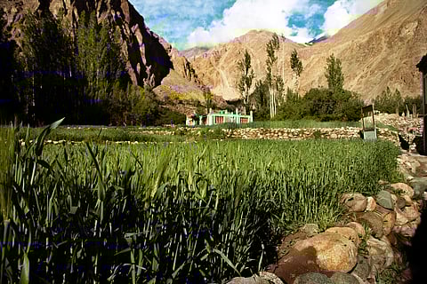 Turtuk in Ladakh. Photo Credit Shutterstock