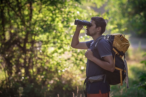 How To Map Birds When You Travel