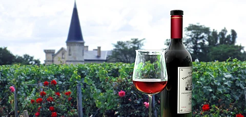 Wine tourism is hugely important to the global economy and local economies