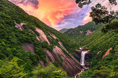 Photo Credits Shutterstock