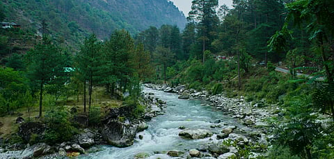 The Rise and Fall of a Great River