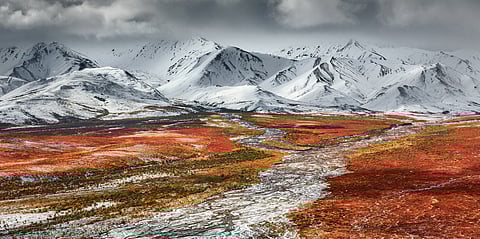 A scene between autumn and winter in Denali National Park