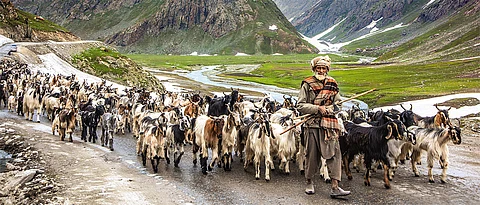 Road Trips Delhi-Leh-Kashmir
