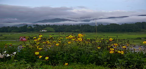 Ziro Valley after a day of rain