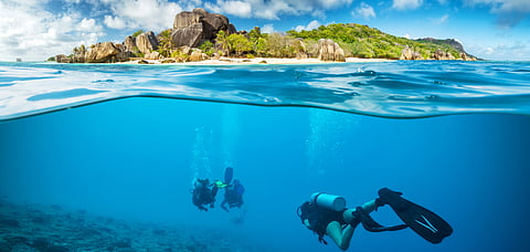Divers below the surface in Seychelles
