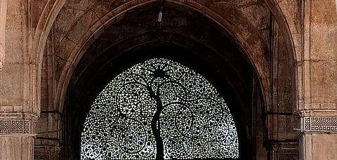 Sidi Saiyyed Jalli, also known as the Tree of Life Jali is a popular landmark and the city's symbol