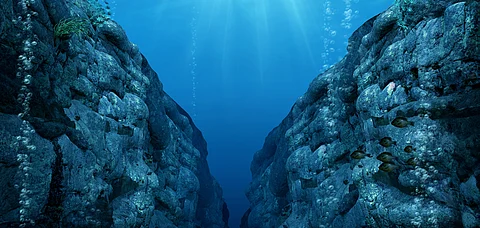 A view from the Mariana Trench
