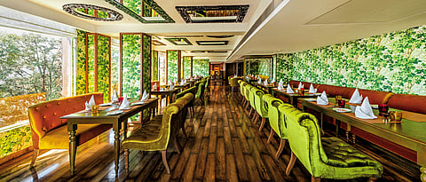 Uttarakhand Mosaic Mussoorie