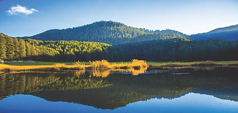 The scenic Khajjiar valley is a short distance away from the property