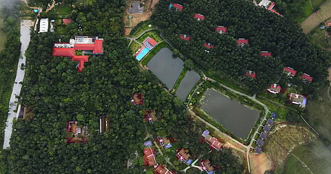 An aerial view of Rosetta by Ferns