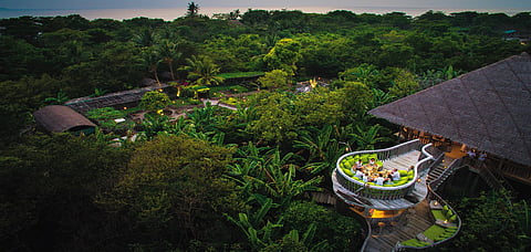 The scenic setting of Fresh in the Garden