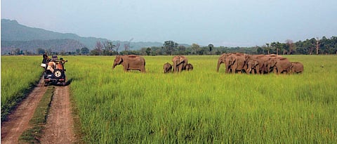 The Dos And Donts at a National Park