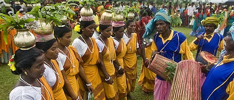 Blog The Comb Collectors of Odisha