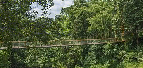 Representative Image The longest bridge in Kerala was inaugurated recently