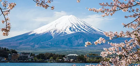 Mount Fuji framed by cherry blossoms at Lake Kawaguchi in Japan