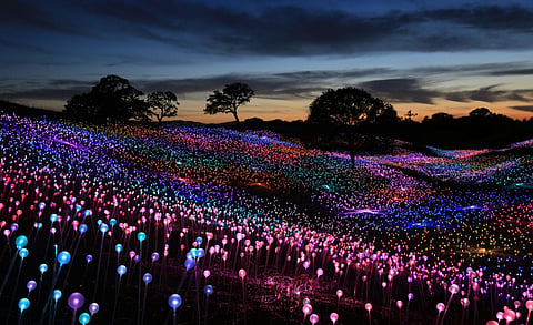 Field of Light