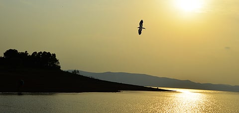 Of Beautiful, Brave People, and a River