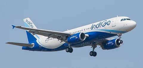 IndiGo now flies international routes