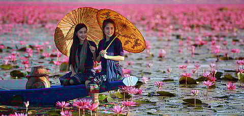 Laos woman in the Red Lotus Sea UdonThani Thailand
