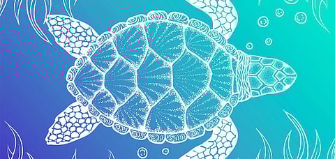 Representative Image Odisha houses rich marine life