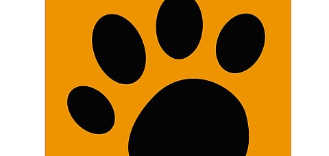 Find the WildTrails App on your Android and iOS devices