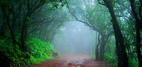 Bookmark This Music Gathering in a Forest Near Mumbai