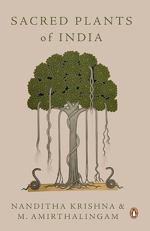 Trees and myths
