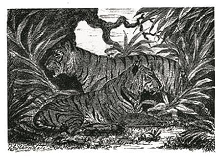 Nature writing in India