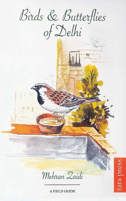 A beginners' guide to birdwatching in Delhi