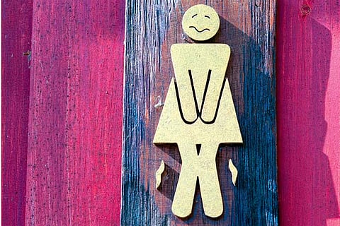 Grumpy Traveller Loo horrors