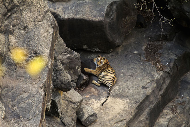 Madhya Pradesh The Promise of Panna